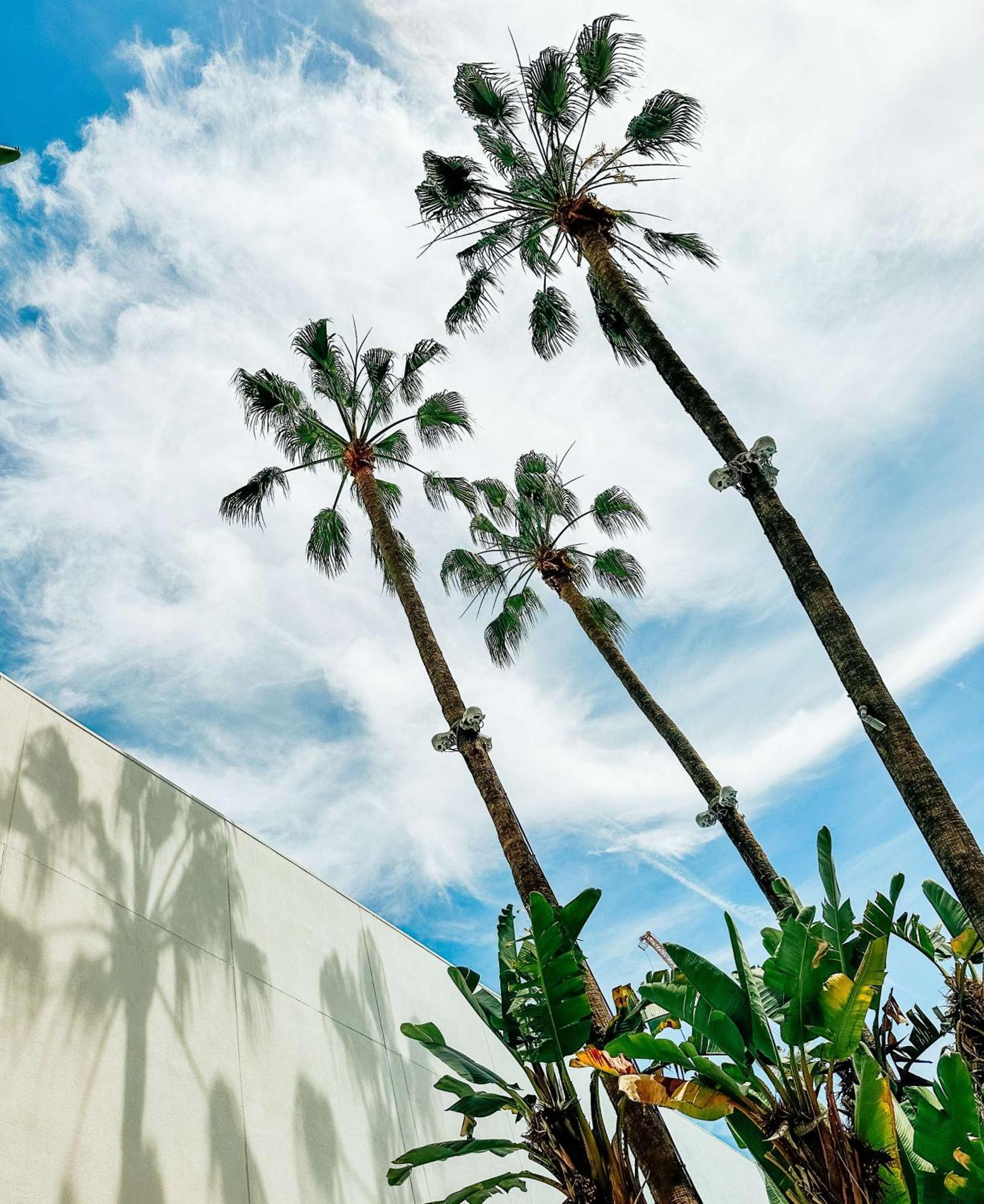 The Beverly Hilton Hotel 5*